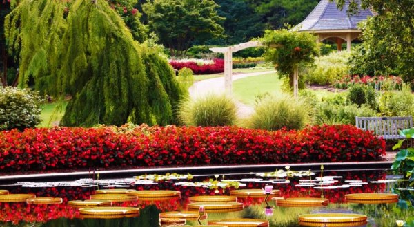 Your Visit To This Beautiful Garden In The U.S. Will Be Simply Unforgettable