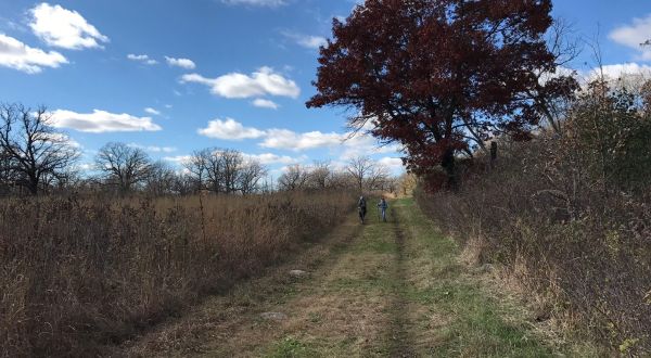 This Scenic Trail In Minnesota Leads To An Abandoned Century Old Farm