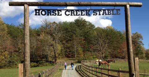 The Bed & Breakfast In Georgia’s Mountains Allows You To Spend The Entire Weekend With Horses