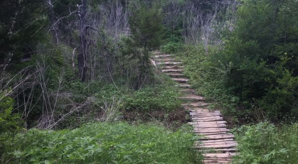 This Underrated Park Near Austin Is A Nature Lover’s Paradise