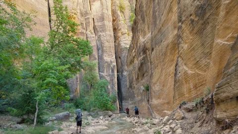 Only A Few Lucky Visitors Per Day Are Allowed At This Secret Canyon In Utah