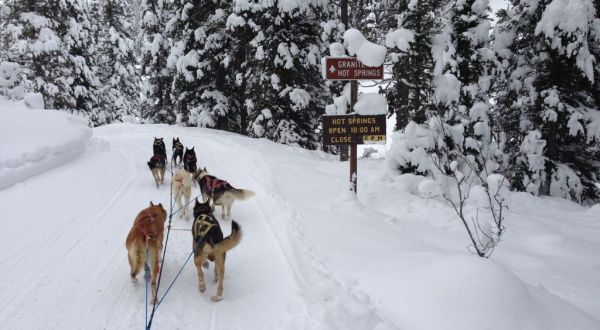 The Guided Sled Dog Tour In Wyoming That Takes You Straight To A Relaxing Hot Spring