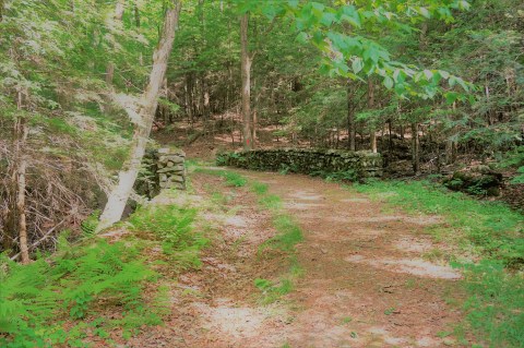Get Lost In The Connecticut Mountains On This Former Carriage Trail