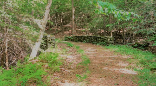 Get Lost In The Connecticut Mountains On This Former Carriage Trail