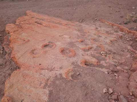 These Mammoth Footprints In Arizona Will Take You Back To Prehistoric Times