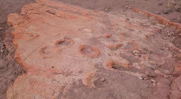 These Mammoth Footprints In Arizona Will Take You Back To Prehistoric Times