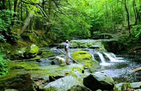 Take This Easy Trail To An Amazing Quintuple Waterfall In Connecticut