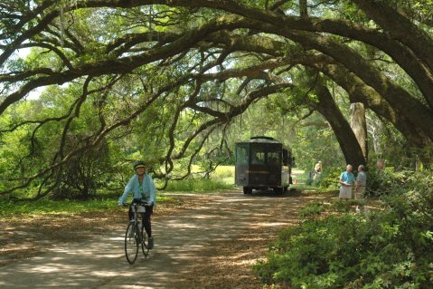 The 10 Places You Absolutely Must Visit In South Carolina This Spring