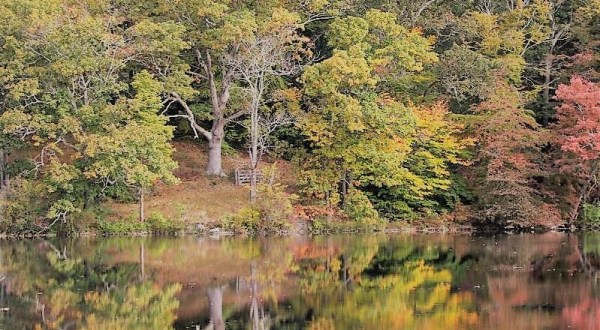 You Might Not Realize This Secret Island State Park In Connecticut Exists