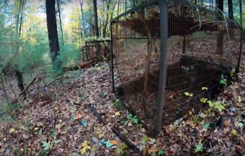 Everyone In Connecticut Should See What’s Inside The Gates Of This Abandoned Zoo