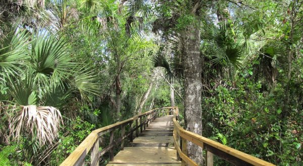 The Largest State Park In Florida Is Also Home To A Beautiful Boardwalk Trail