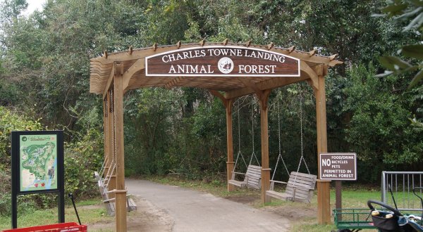 Most People Don’t Know This South Carolina Zoo And Adventure Park Even Exists