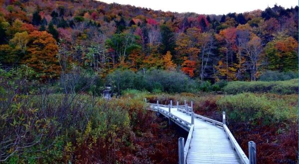 8 Totally Kid-Friendly Hikes In Vermont That Are 1 Mile And Under