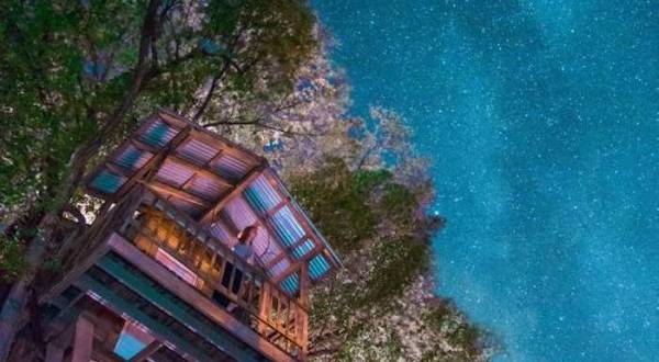 Sleep Underneath The Forest Canopy At This Epic Treehouse In Arizona