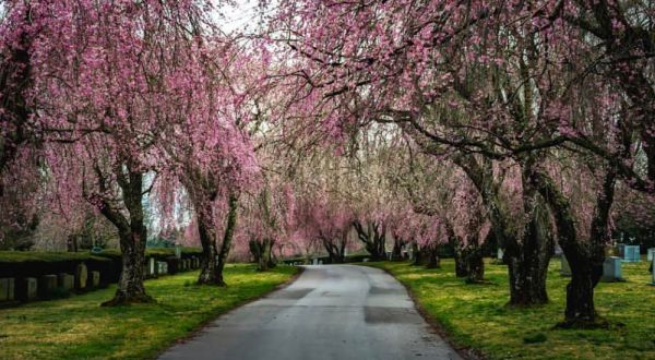 The One Unexpected Place In Kentucky That Is Downright Enchanting In The Spring
