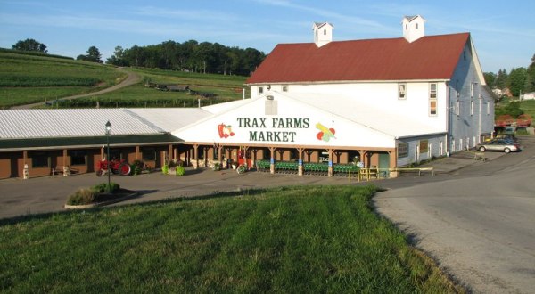 Take The Whole Family On A Day Trip To This Pick-Your-Own Strawberry Farm Near Pittsburgh