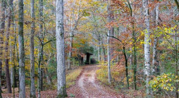 This Hidden Nature Preserve In Louisiana Is Only Open A Few Times A Year, And Now’s Your Chance