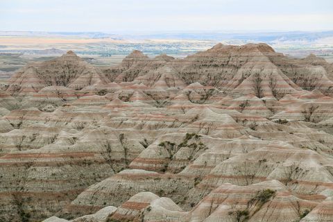 7 Things You Didn't Know About The History Of South Dakota