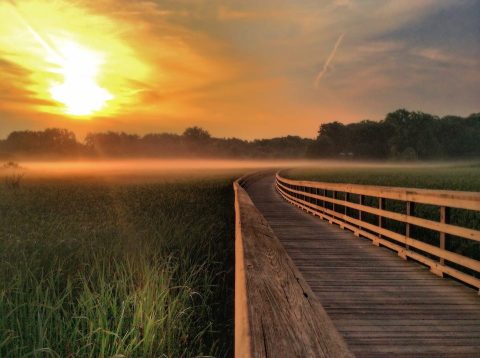 9 Boardwalk Hikes Near Cleveland That Offer A Beautiful And Easy-Peasy Walk
