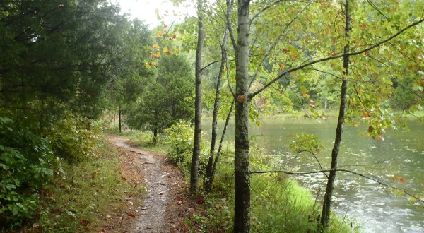 Kick Off Spring In Nashville With These 5 Scenic Hikes Under One Mile