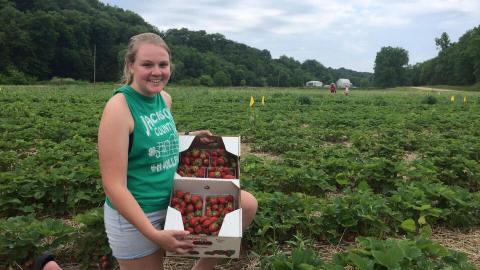 Take The Whole Family On A Day Trip To This Pick-Your-Own Strawberry Farm In Iowa