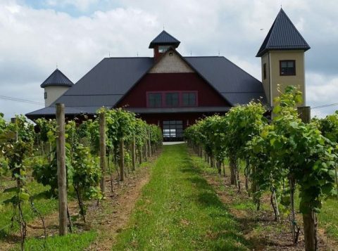 10 Picture Perfect Vineyards Hiding In Ohio's Wine Country You'll Want To Visit