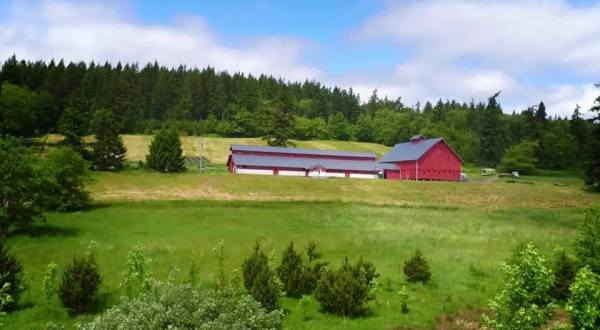 This Historic Farm In Washington Makes A Perfect Day Trip Destination For The Whole Family