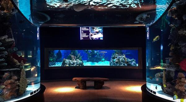 Explore This One-Of-A-Kind Aquarium In Pennsylvania The Whole Family Will Love