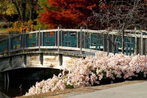 This Beautiful 970-Acre Botanical Garden In Missouri Is A Sight To Be Seen