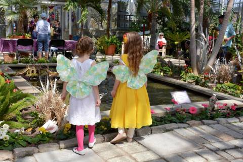 This Fairy Garden Festival In Rhode Island Is The Most Enchanting Place To Visit This Spring