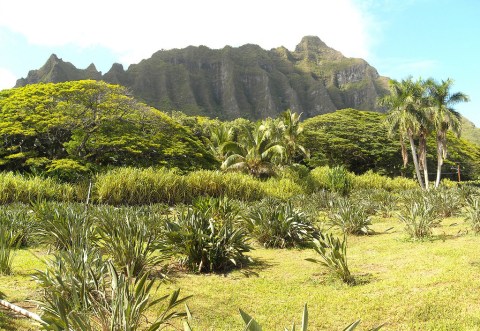 The Off The Beaten Path Farm In Hawaii Everyone Must Visit At Least Once