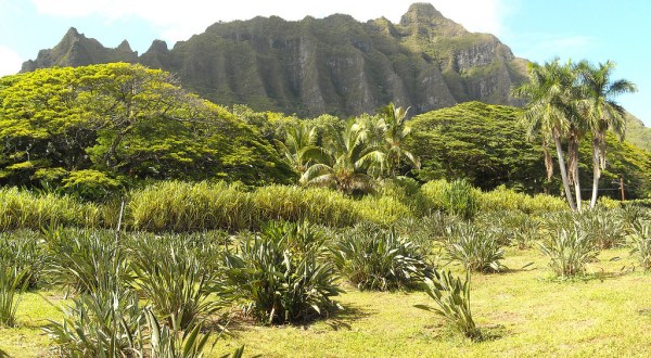 The Off The Beaten Path Farm In Hawaii Everyone Must Visit At Least Once