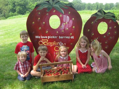 Take The Whole Family On A Day Trip To This Pick-Your-Own Strawberry Farm In Pennsylvania
