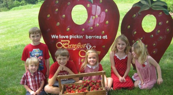 Take The Whole Family On A Day Trip To This Pick-Your-Own Strawberry Farm In Pennsylvania