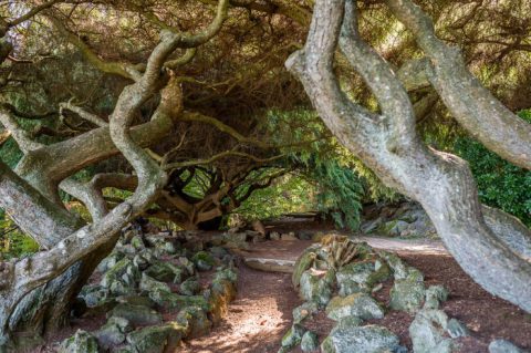 This Beautiful 54-Acre Botanical Garden In New Jersey Is A Sight To Be Seen
