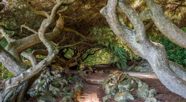 This Beautiful 54-Acre Botanical Garden In New Jersey Is A Sight To Be Seen