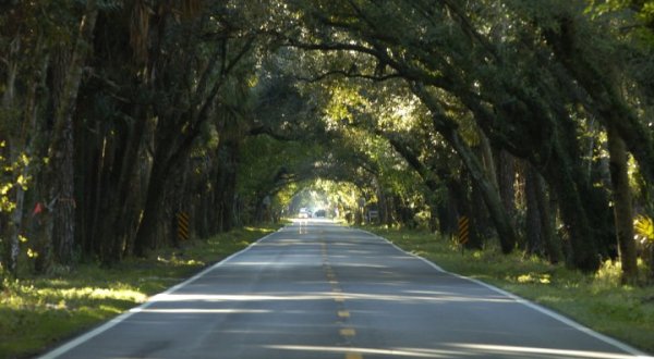 The 12-Mile Scenic Drive In Florida You Will Want To Take As Soon As You Can