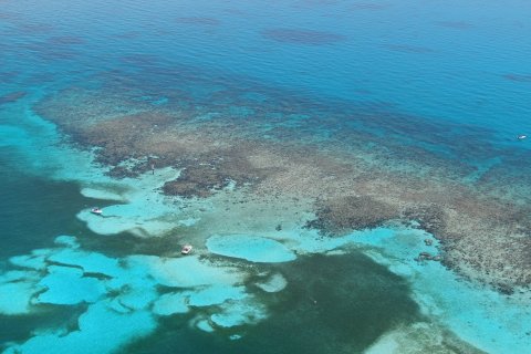 This Florida Barrier Reef Is The Coolest Thing You'll Ever See For Free