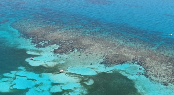 This Florida Barrier Reef Is The Coolest Thing You’ll Ever See For Free