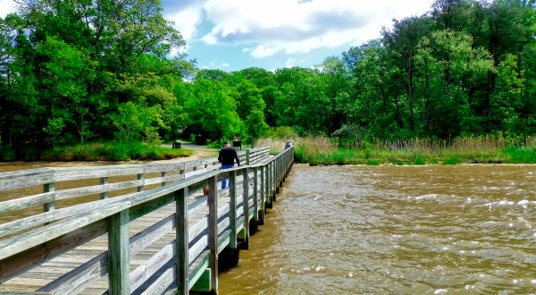 Explore This Hidden Gem Park With Some Of The Best Boardwalk Trails In Maryland