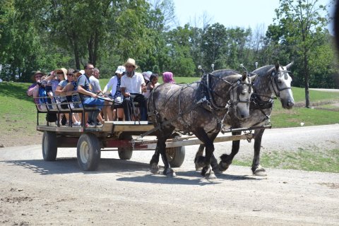 Nothing Compares To A Wagon Ride Through This Northeast Ohio Animal Sanctuary