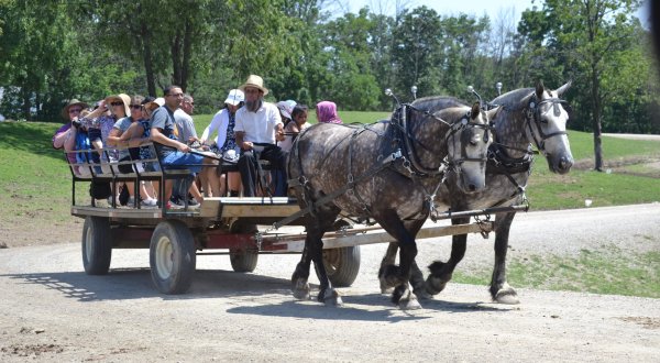 Nothing Compares To A Wagon Ride Through This Northeast Ohio Animal Sanctuary