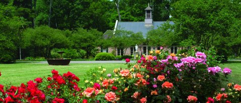 This Beautiful 440-Acre Botanical Garden In Louisiana Is A Sight To Be Seen
