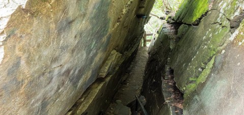 Hike Through South Carolina's Rock Maze For An Adventure Like No Other