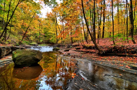 This Ultimate Weekend Road Trip Will Take You Through The 13 Most Remarkable Sites In The Cleveland Metroparks