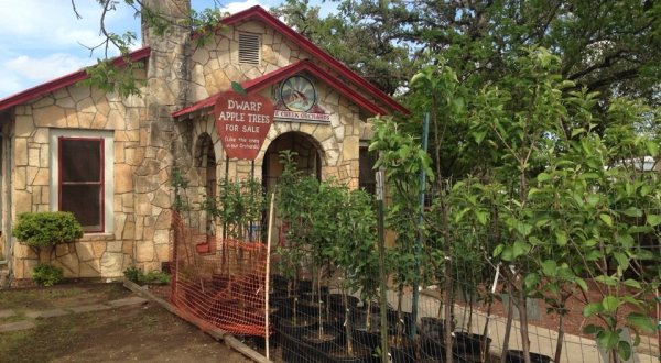 This Charming Apple Store And Bakery Near Austin Will Soon Become One Of Your Favorite Places
