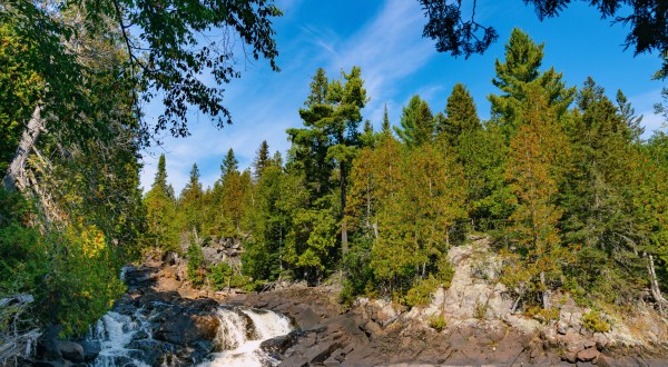 This Scenic State Park In Minnesota Is Home To Trees Older Than The State Itself