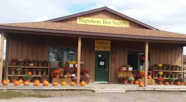 The Sweetest Little Honey Shop In Michigan Will Have You Buzzing With Excitement
