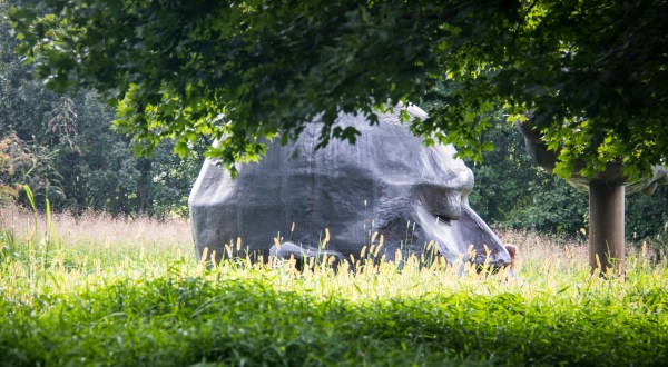 Giants Live In This New York Park And You’ll Want To See Them For Yourself