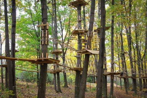 The One Walk Above The Trees In Connecticut That’s Beautiful Any Time Of Year